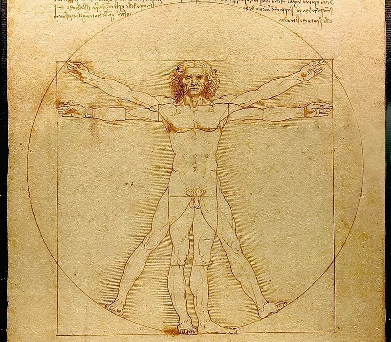 vitruvian man